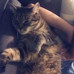 Meet your Posher, Samantha